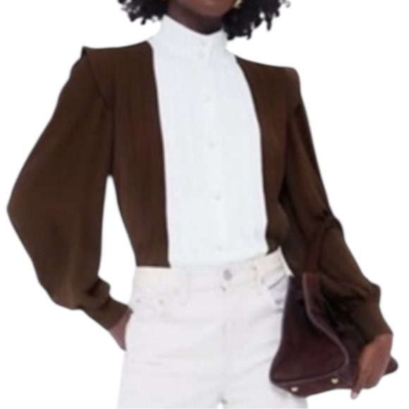 NWT TUCKERNUCK INDIA HICKS Chocolate & Ivory Grove Pleated Blouse XXXL 3X - Picture 5 of 13
